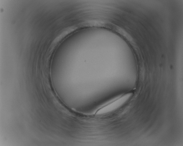 X0000081300673200702012310