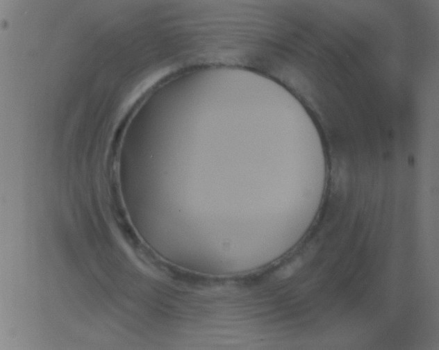 X0000081300674200702012310