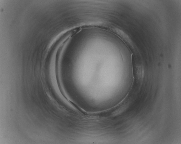 X0000081300676200702012310