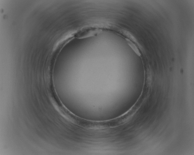 X0000081300677200702012310