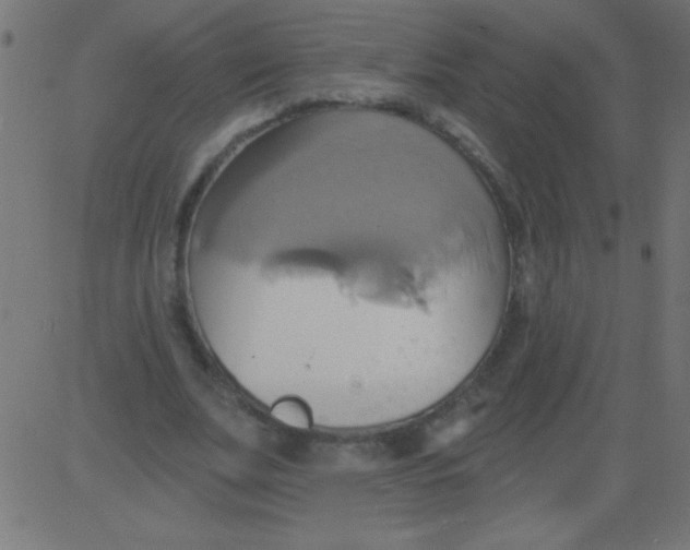 X0000081300679200702012310