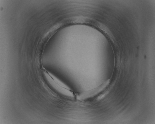 X0000081300681200702012310