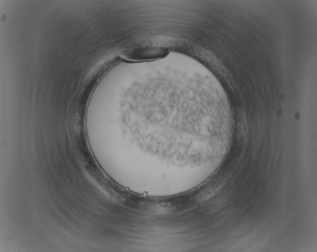 X0000081300683200702012310