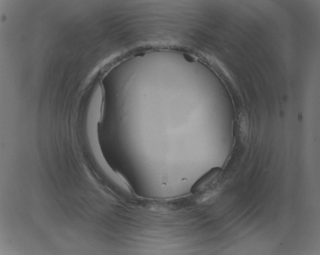 X0000081300684200702012310