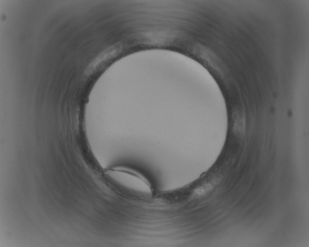 X0000081300685200702012310