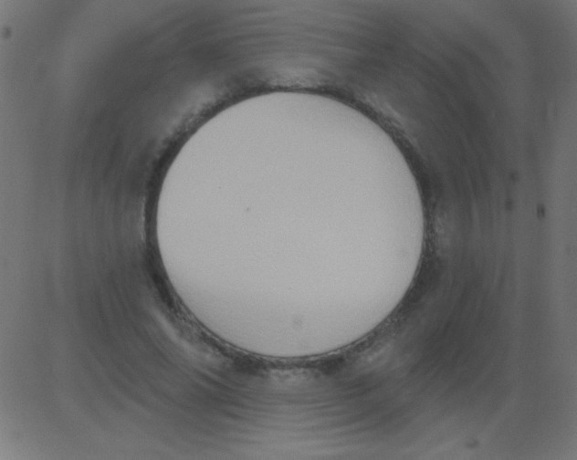 X0000081300686200702012310