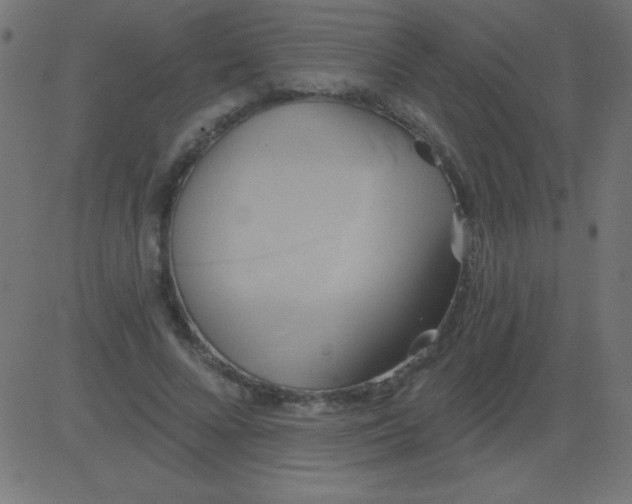 X0000081300688200702012310