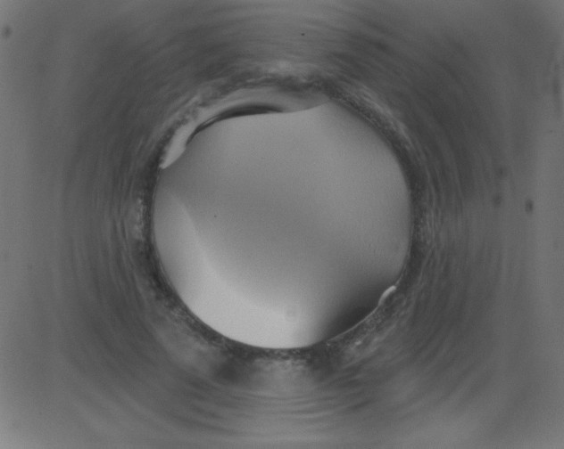 X0000081300689200702012310