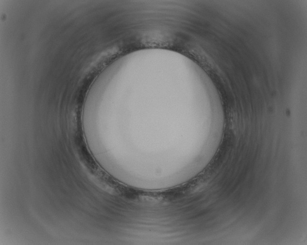 X0000081300690200702012310