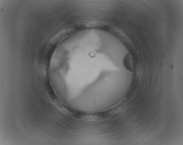 X0000081300691200702012310