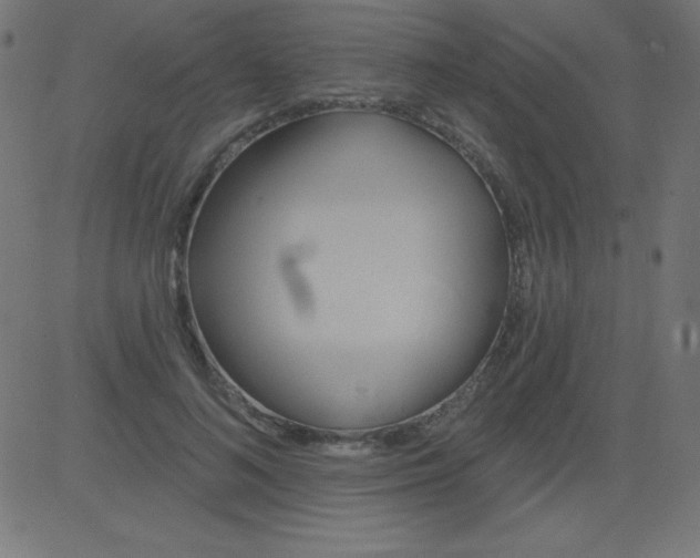 X0000081300692200702012310