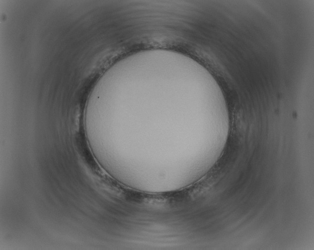 X0000081300694200702012310