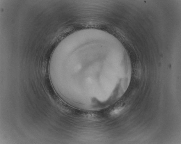 X0000081300695200702012310