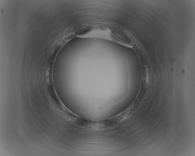 X0000081300696200702012310