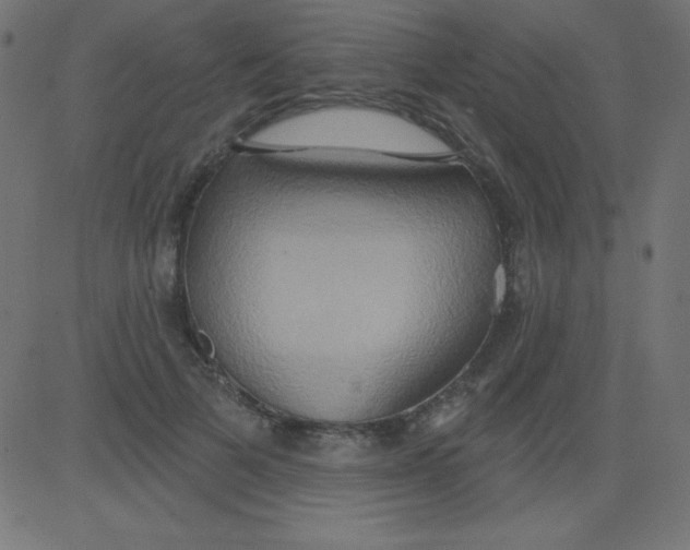 X0000081300697200702012309