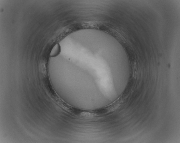 X0000081300699200702012309