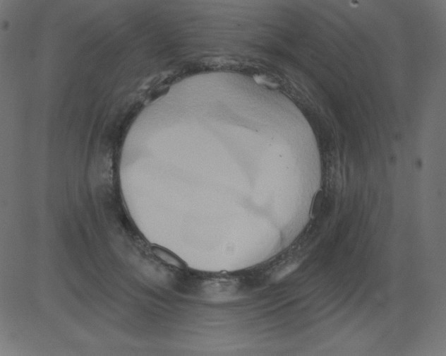 X0000081300700200702012309