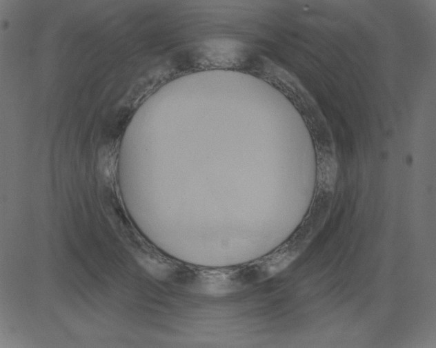 X0000081300701200702012309