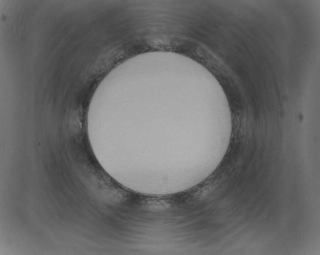 X0000081300702200702012309