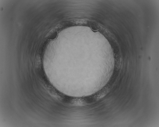 X0000081300704200702012309