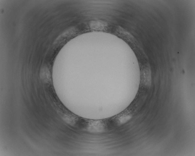 X0000081300705200702012309