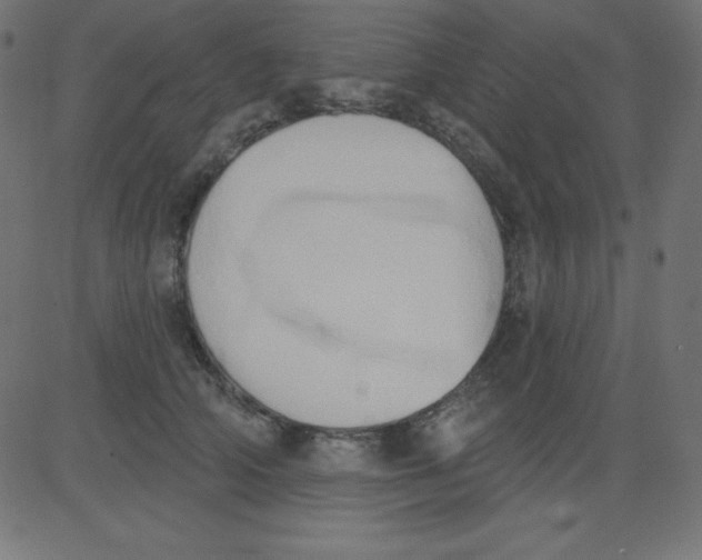 X0000081300706200702012309