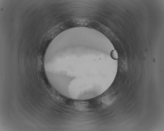 X0000081300707200702012309