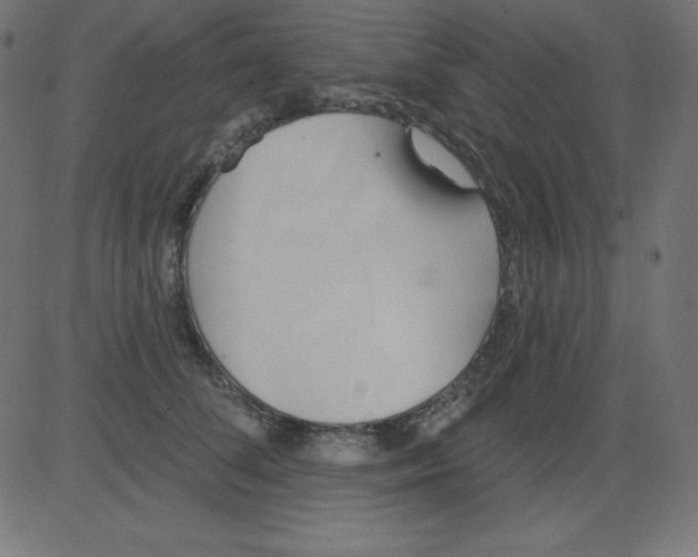 X0000081300708200702012309