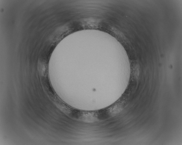 X0000081300709200702012309