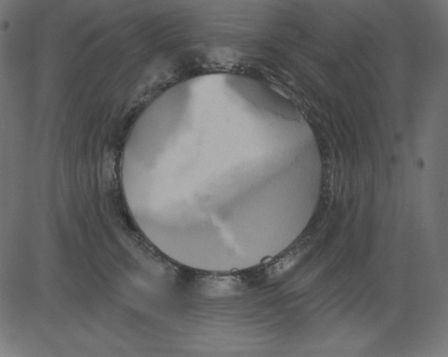 X0000081300711200702012309