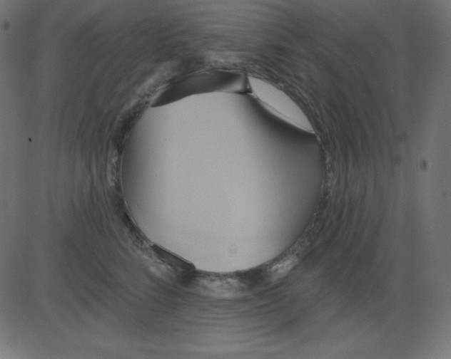 X0000081300712200702012309