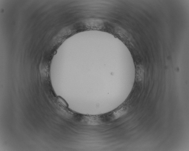 X0000081300713200702012309