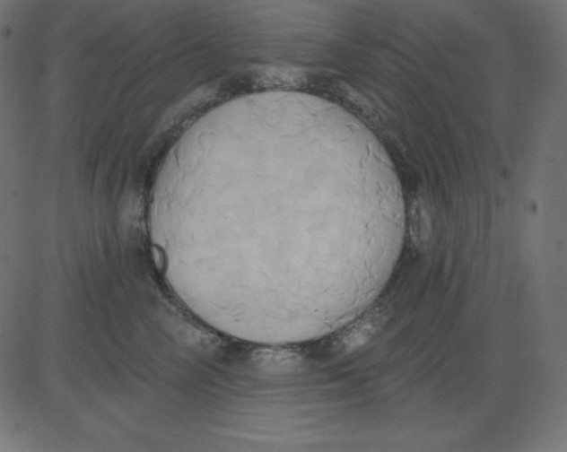 X0000081300714200702012309