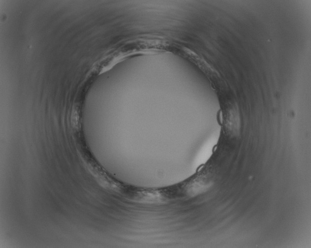 X0000081300715200702012309