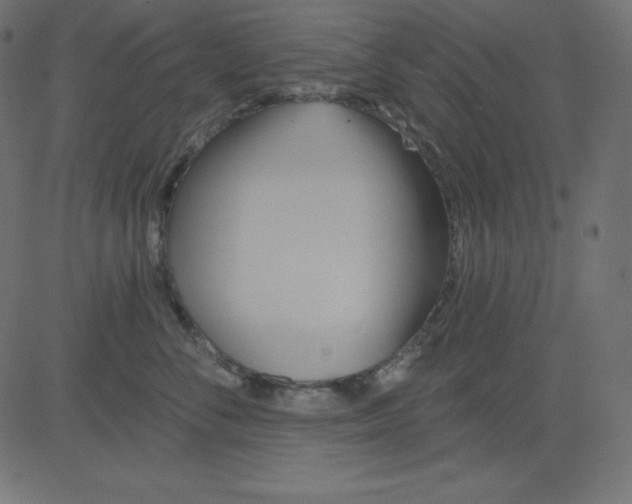 X0000081300716200702012309