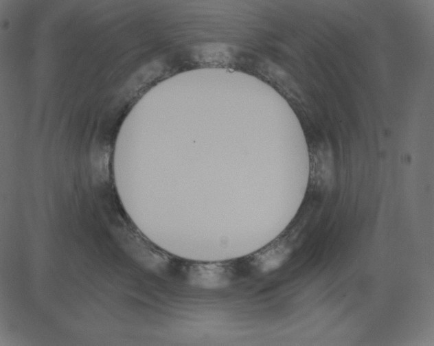 X0000081300717200702012309