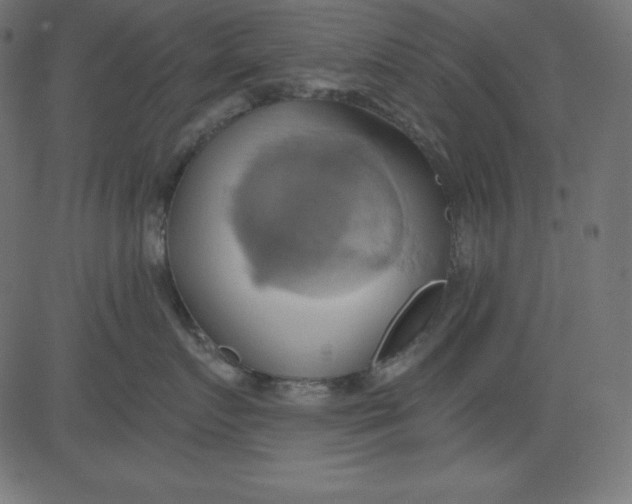 X0000081300719200702012309