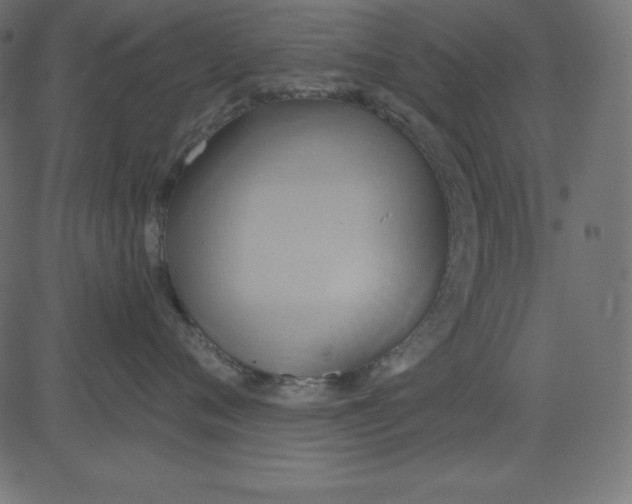 X0000081300720200702012309