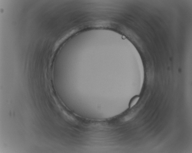 X0000081300721200702012308