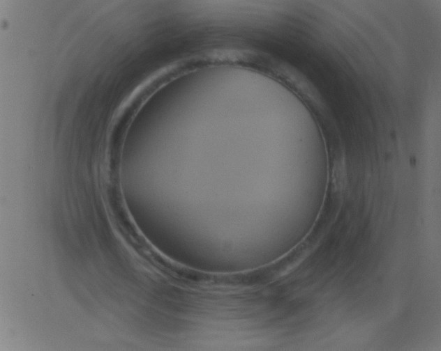 X0000081300722200702012308