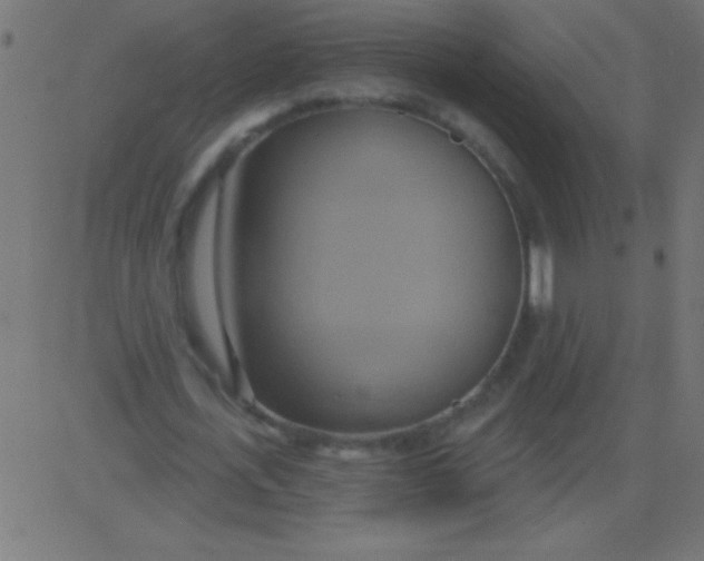 X0000081300723200702012308