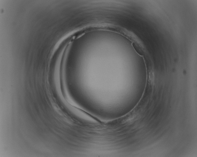 X0000081300724200702012308