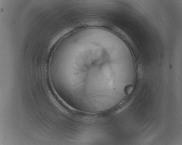 X0000081300725200702012308