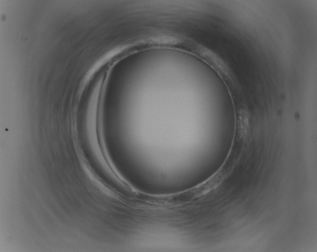 X0000081300726200702012308