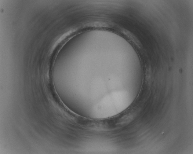 X0000081300727200702012308