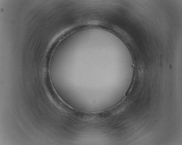 X0000081300728200702012308