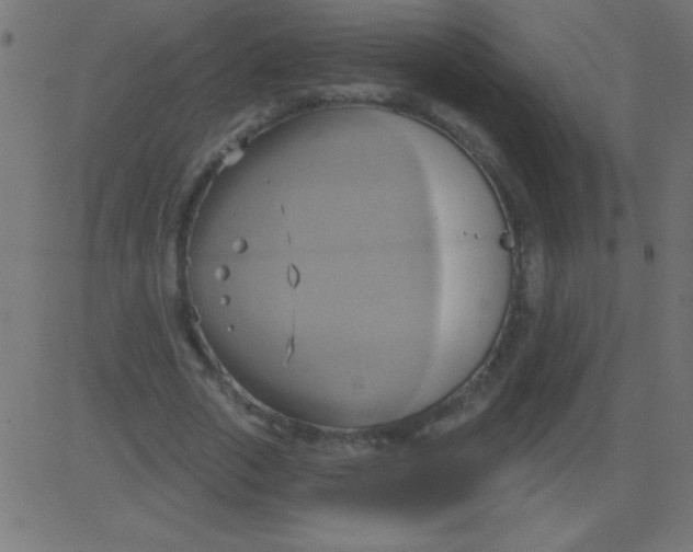 X0000081300729200702012308