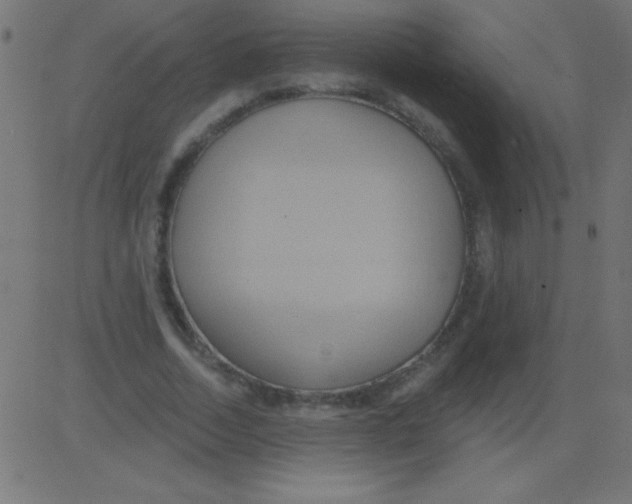 X0000081300730200702012308