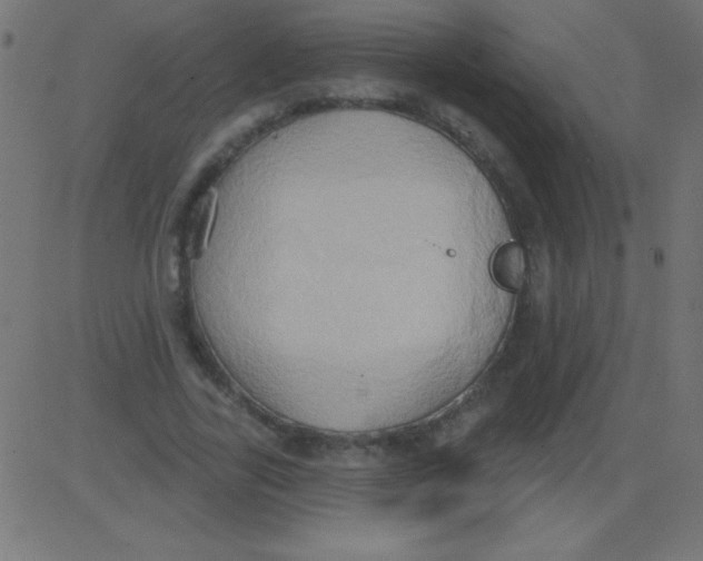 X0000081300731200702012308