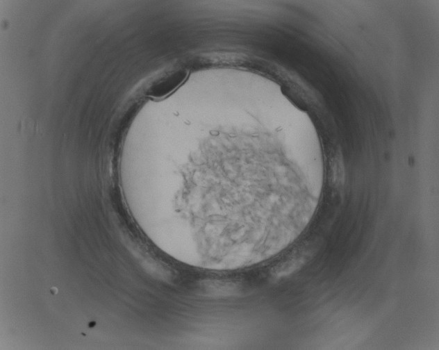 X0000081300733200702012309